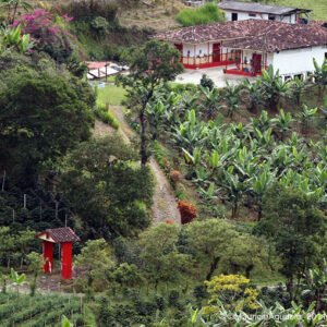 Montaña Dorada Ecolodge