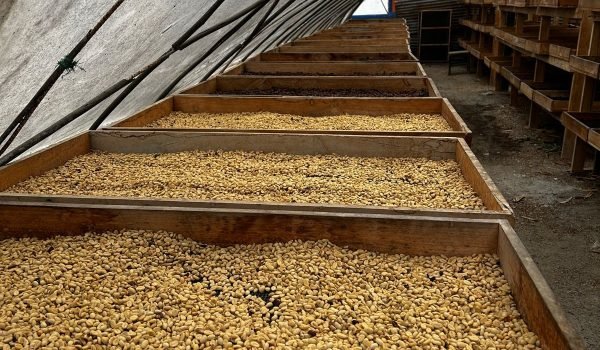 WhatsApp Image 2024-11-26 at 11.59.42 PM